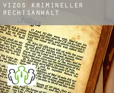 Vizos  krimineller rechtsanwalt