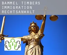 Bammel Timbers  immigration rechtsanwalt