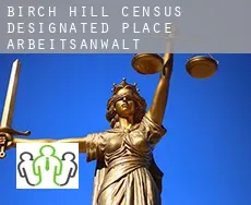 Birch Hill  arbeitsanwalt