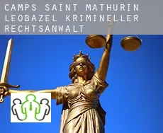 Camps-Saint-Mathurin-Léobazel  krimineller rechtsanwalt