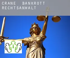 Crane  bankrott rechtsanwalt