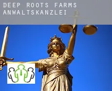 Deep Roots Farms  Anwaltskanzlei