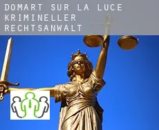 Domart-sur-la-Luce  krimineller rechtsanwalt