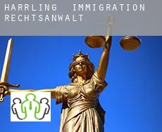 Harrling  immigration rechtsanwalt