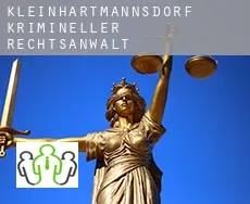 Kleinhartmannsdorf  krimineller rechtsanwalt