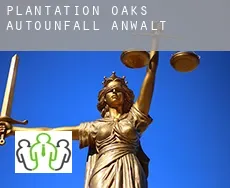 Plantation Oaks  Autounfall Anwalt