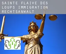Sainte-Flaive-des-Loups  immigration rechtsanwalt