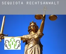 Sequiota  rechtsanwalt