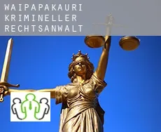 Waipapakauri  krimineller rechtsanwalt