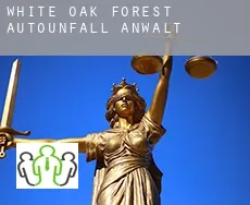 White Oak Forest Autounfall Anwalt