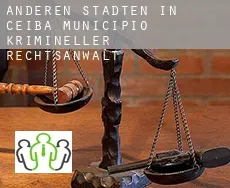 Anderen Städten in Ceiba Municipio  krimineller rechtsanwalt