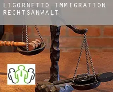 Ligornetto immigration rechtsanwalt
