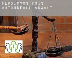 Persimmon Point  Autounfall Anwalt