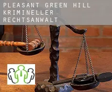 Pleasant Green Hill  krimineller rechtsanwalt