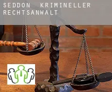 Seddon  krimineller rechtsanwalt