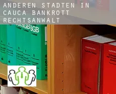 Anderen Städten in Cauca bankrott rechtsanwalt