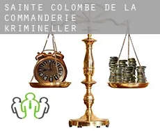 Sainte-Colombe-de-la-Commanderie  krimineller rechtsanwalt