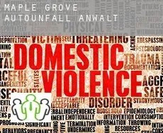 Maple Grove  Autounfall Anwalt
