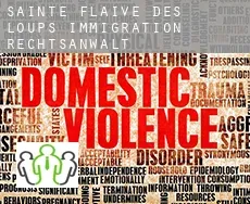 Sainte-Flaive-des-Loups  immigration rechtsanwalt