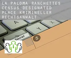 La Paloma Ranchettes  krimineller rechtsanwalt