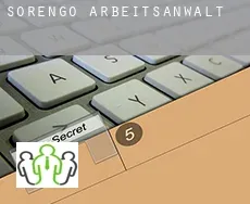 Sorengo  arbeitsanwalt