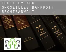 Thuilley-aux-Groseilles  bankrott rechtsanwalt