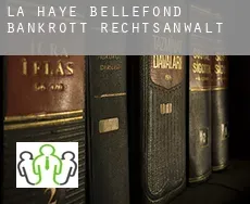 La Haye-Bellefond  bankrott rechtsanwalt