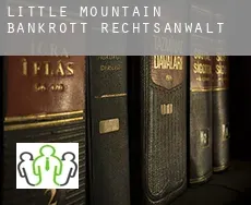 Little Mountain  bankrott rechtsanwalt