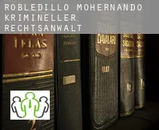 Robledillo de Mohernando  krimineller rechtsanwalt