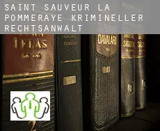Saint-Sauveur-la-Pommeraye krimineller rechtsanwalt