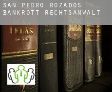 San Pedro de Rozados  bankrott rechtsanwalt