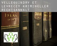 Velleguindry-et-Levrecey  krimineller rechtsanwalt