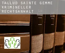 Tallud-Sainte-Gemme krimineller rechtsanwalt
