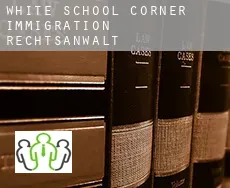 White School Corner  immigration rechtsanwalt