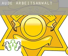 Aude  arbeitsanwalt
