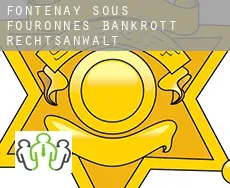 Fontenay-sous-Fouronnes bankrott rechtsanwalt