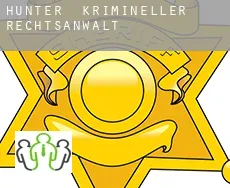 Hunter  krimineller rechtsanwalt