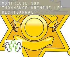 Montreuil-sur-Thonnance krimineller rechtsanwalt