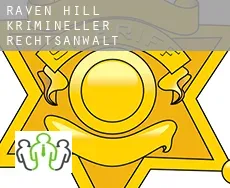 Raven Hill  krimineller rechtsanwalt