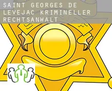 Saint-Georges-de-Lévéjac  krimineller rechtsanwalt