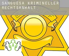 Sangüesa  krimineller rechtsanwalt