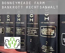 Bonneymeade Farm  bankrott rechtsanwalt