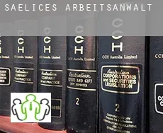Saelices  arbeitsanwalt
