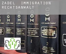 Zadel immigration rechtsanwalt