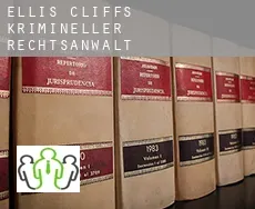 Ellis Cliffs  krimineller rechtsanwalt