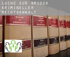 Luché-sur-Brioux  krimineller rechtsanwalt