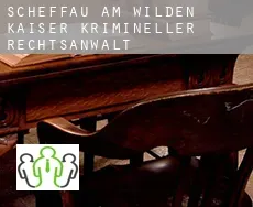 Scheffau am Wilden Kaiser  krimineller rechtsanwalt