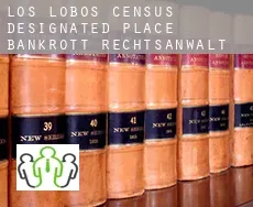 Los Lobos  bankrott rechtsanwalt