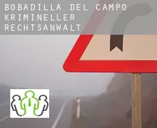 Bobadilla del Campo  krimineller rechtsanwalt