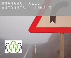 Omanawa Falls  Autounfall Anwalt